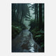 Nature & Landscapes